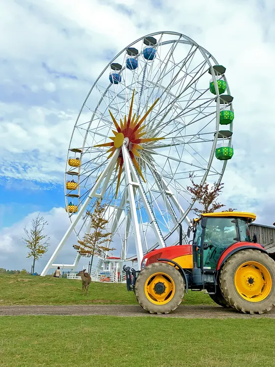 Ferris Wheel 25M amusement ride — photo 5 by XL Amusement Ride factory