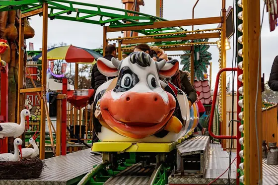 Family coaster amusement ride — photo 4 by XL Amusement Ride factory