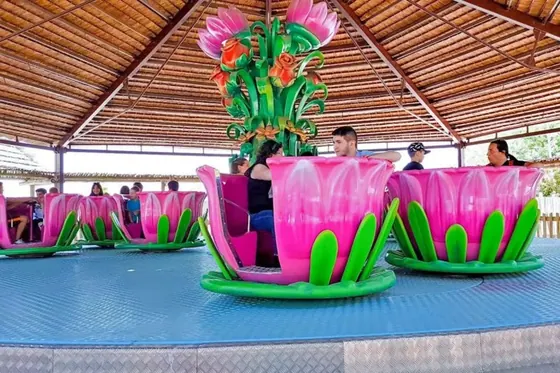 Dancing Cups amusement ride — photo 4 by XL Amusement Ride factory