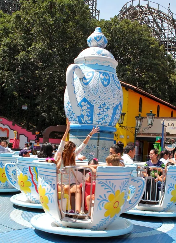 Dancing Cups amusement ride — photo 5 by XL Amusement Ride factory