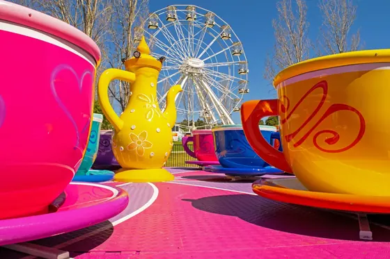 TEA CUPS 10M amusement ride — photo 6 by XL Rides factory