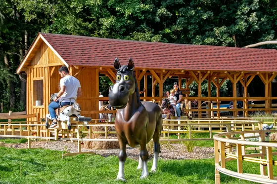 PONY ADVENTURE amusement ride for sale — manufactured by XL Rides (Henan Xinlong Amusement Equipment Co., Ltd.)